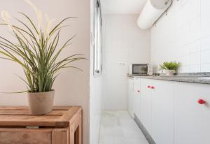 ImagenEstudio Juan Luis 3