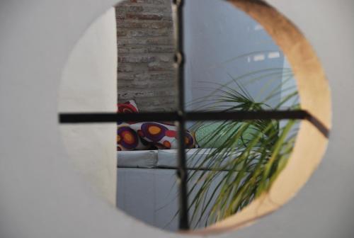 ImagenKoala Tarifa 2