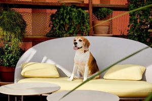 ImagenKimpton Vividora Hotel, an IHG Hotel 3