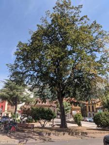 ImagenHotel La Plaza 8