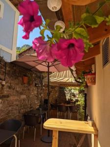 ImagenHotel La Plaza 9