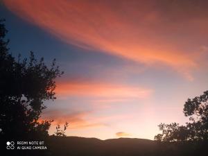 ImagenCasa La Colina Mandarina II Casa de madera 7