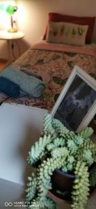 ImagenCozy apartment Cruz del Señor Tenerife 4