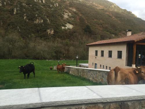 ImagenLa Casona de Rey 1