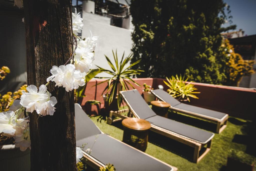 The Monkey Roomimagen principal