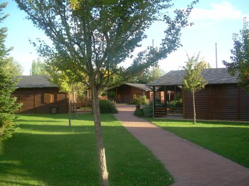 ImagenEl Bosque de los Sueños 2