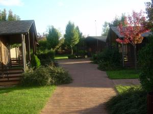 ImagenEl Bosque de los Sueños 3