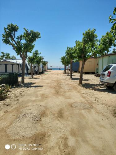 ImagenCamping el Pinar Platja 2