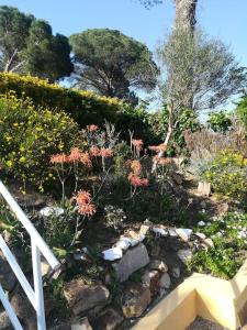 ImagenCasa particular en Fogars de la Selva 6