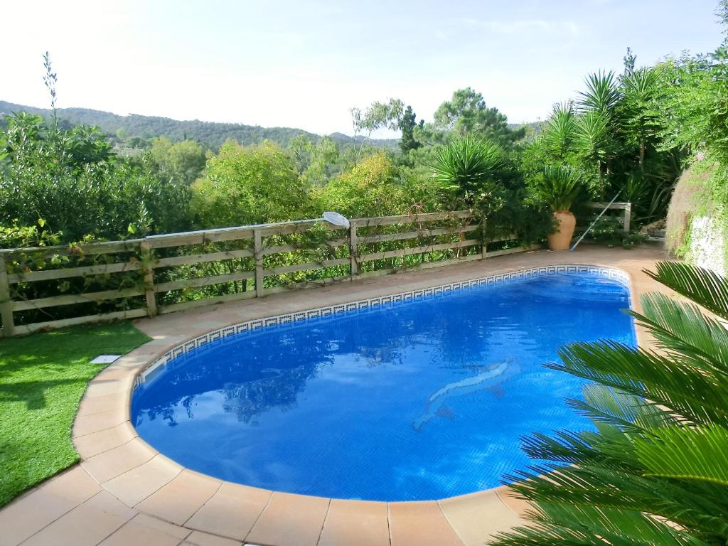 Damaimagen principal