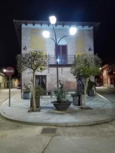 ImagenDoña Elvira Nava 5