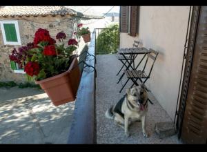 ImagenLA CASONA DE RABANAL 5