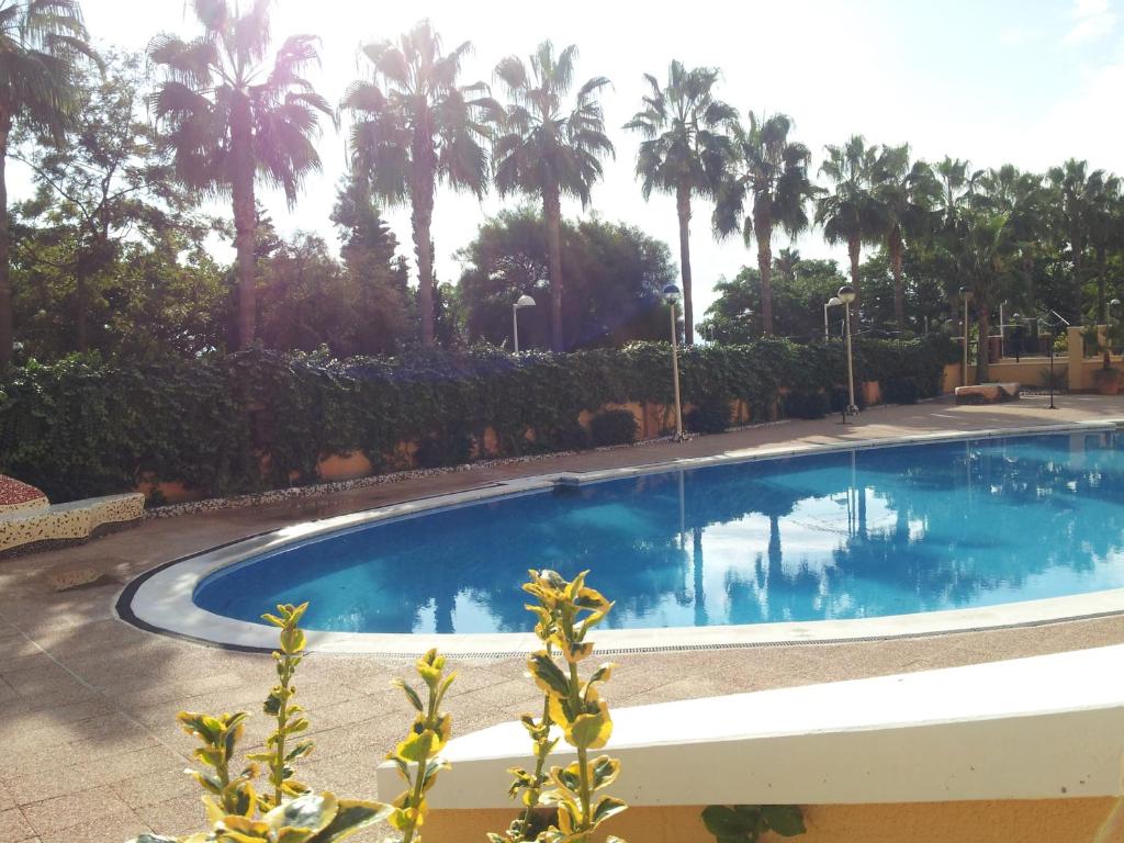 ACV Primera Líneaimagen principal