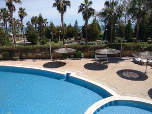 ImagenACV Primera Línea 6