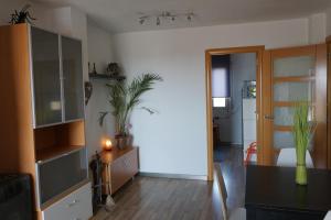 ImagenSummer Francas 5