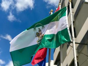 ImagenHotel Fernando IV 6