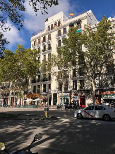 ImagenÁtico en la zona de los Museos 1