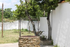 ImagenAlbergue Turistico La Higuera 6