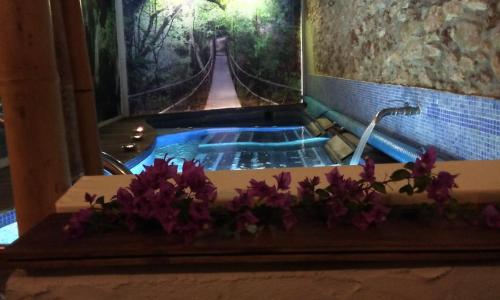 ImagenBoutique Hotel & Spa Les Vinyes 1