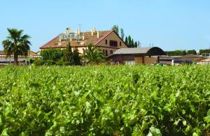 ImagenHotel Restaurant Sol i Vi 4