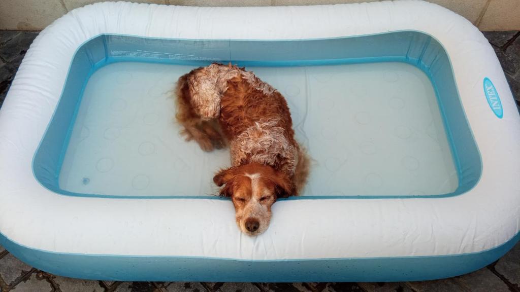 Casa Rural Goñiimagen principal