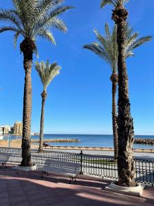 ImagenPrimera linea playa Del Cura 6