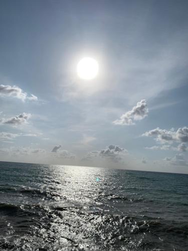 ImagenApartaments Amalia on the beach 2