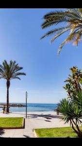 ImagenApartaments Amalia on the beach 5