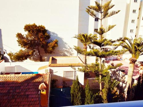 ImagenCaptain Garcia Apartment 2