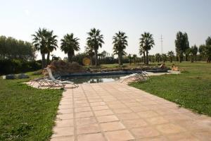 ImagenMas del Joncar 6