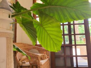 ImagenHotel Riomar 3