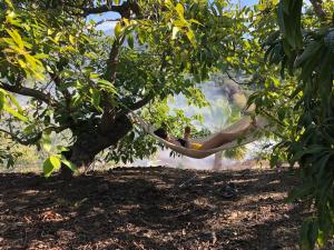 ImagenVilla Sunshine 3