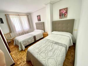ImagenGarden Lodge Hostal Evencio 6