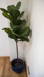 ImagenAlterhome Chamberí I 3