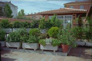 ImagenGran Hostal El Chiscón 3