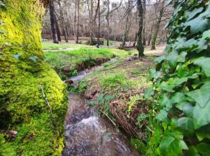 ImagenO Largo Rooms 6