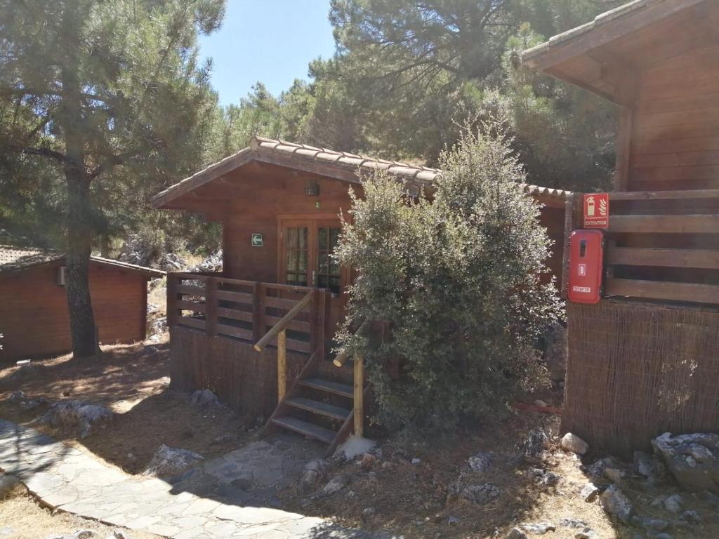 Camping TajoRodilloimagen principal