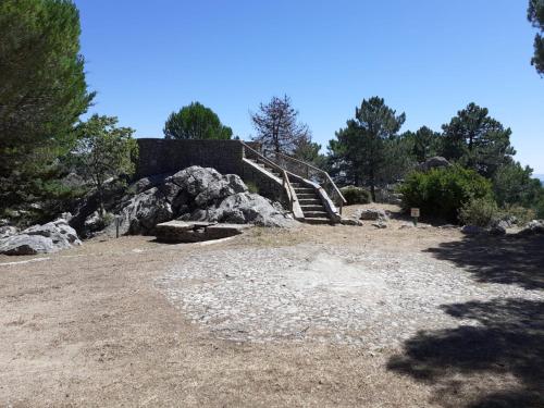 ImagenCamping TajoRodillo 1