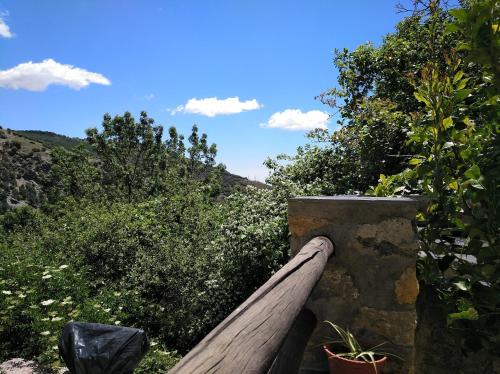 ImagenEl Vergel de Berchules 1