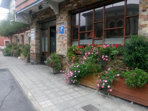 ImagenElguero Trapagaran 1