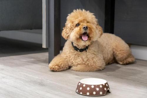 ImagenHotel Prada. 2