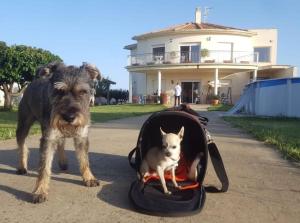 ImagenCasa Miguel & Sally 6