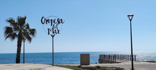 ImagenACV Primera Línea 1