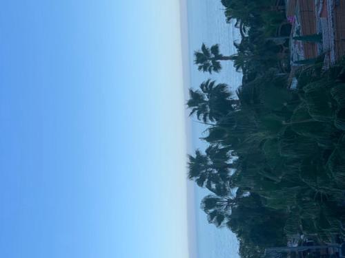 ImagenMarina D Vacaciones 1