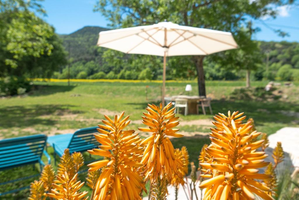 Can Riera de Montagut - Masia per 24 personesimagen principal