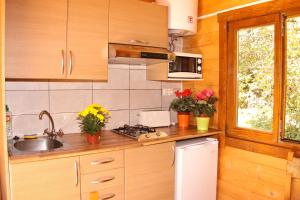 ImagenCamping Ripolles 6