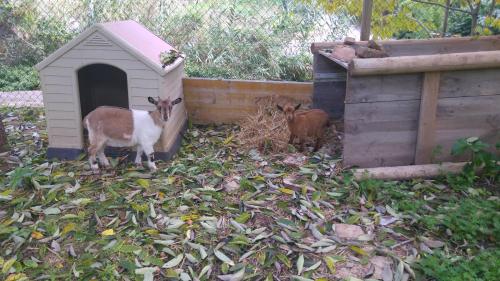 ImagenHotel Sa Vall 2