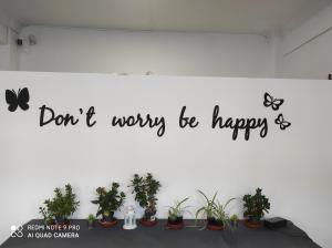 ImagenElguero Trapagaran 5