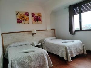 ImagenElguero Trapagaran 6