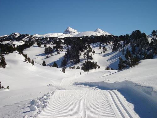 ImagenHotel y Apartamentos SNÖ Isaba 1